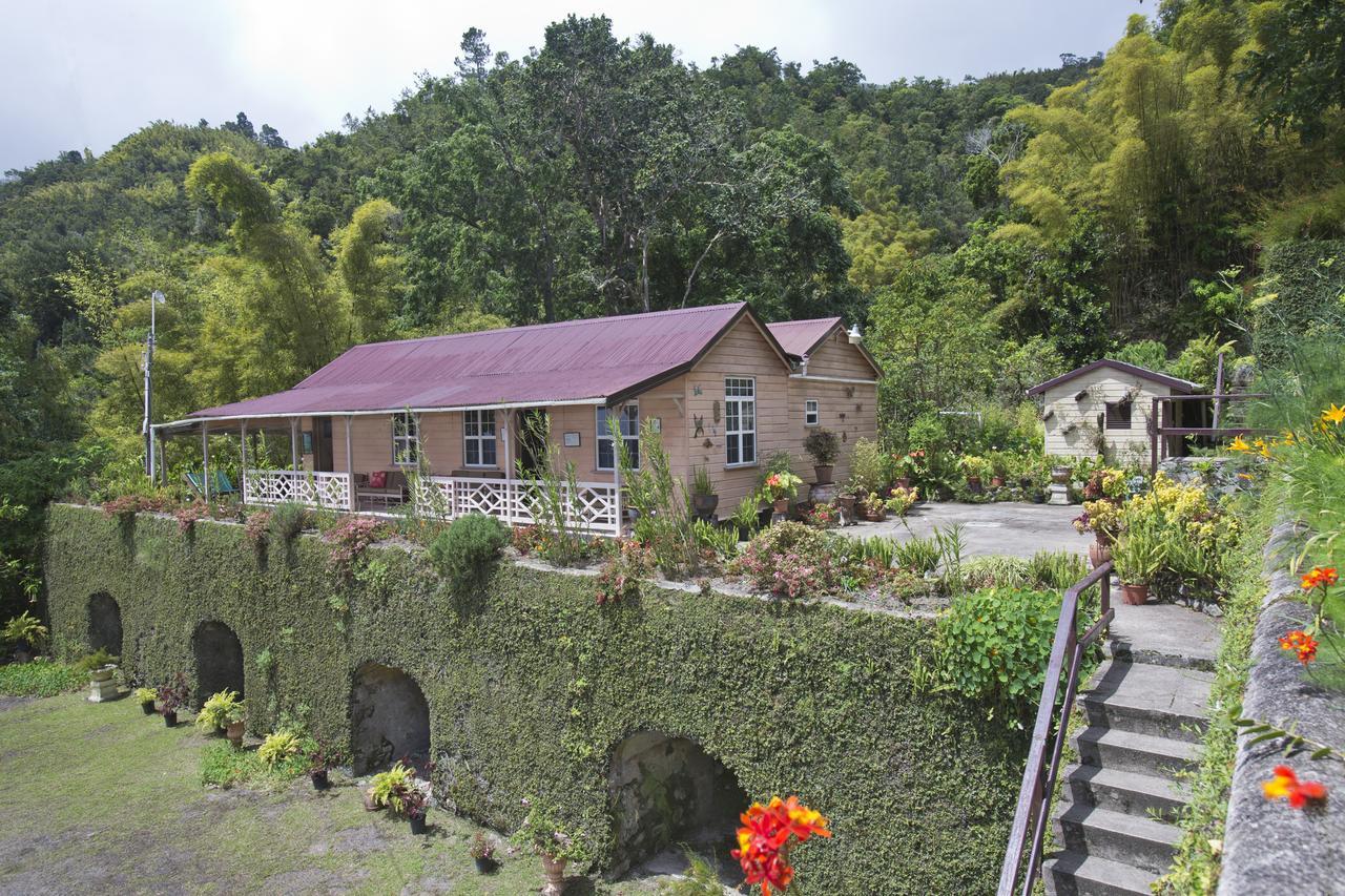 Barbecue Heritage Gardens Cottage - JM Newcastle Exterior foto